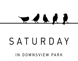 Saturday in Downsview Park