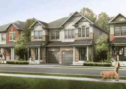 Bear Creek Ridge